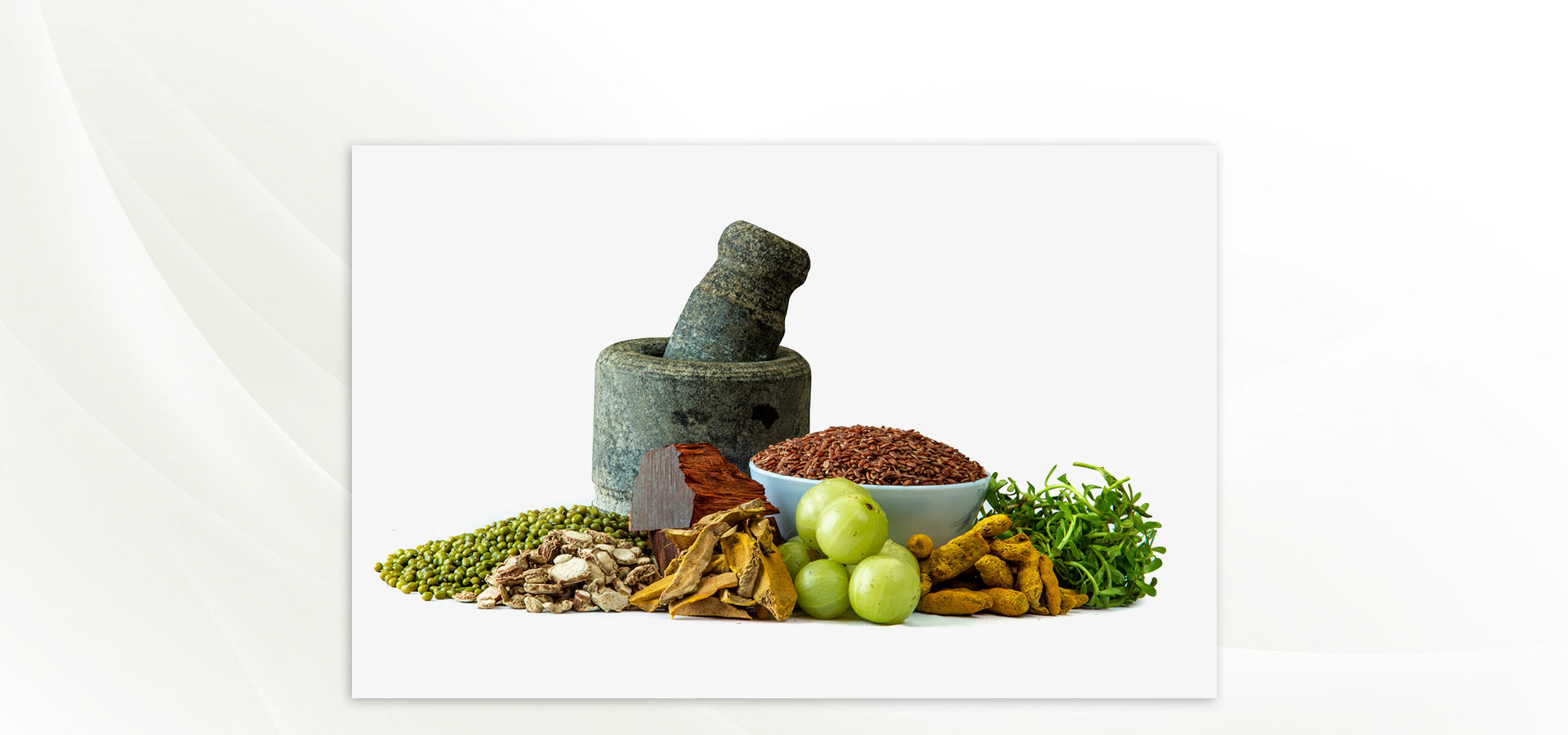Ojas Wellness, Located in Glendale, CA